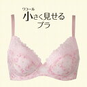 [ワコール]小さく見せるブラBRB482(ブラジャー単品)DEFカップ[最大ポイント10倍(-4/14AM9:59)]★特別送料無料★≪セール！楽天最安値に挑戦！≫2014春夏新色追加！