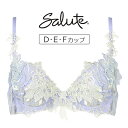 【25%OFF】ワコール サルート 34G P-upタイプ ブラジャー単品 全3色 D-F/65-80 BTJ434