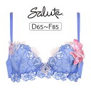 【15%OFF】ワコール サルート 76G P-upタイプ ブラジャー単品 全4色 D-F/65-85 BTJ476
