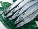 北海道産 生サンマ(L) 2kg(13尾入 1尾150-16...