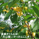 【送料無料産直】北海道産・さくらんぼ「月山錦」300g(大玉・3L:手詰め)【送料無料産直:7月下旬発送開始】【smtb-TK】