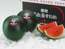 【送料無料 北海道富良野産】麓郷黒小玉スイカ秀品(1玉約1.6Kg)×5玉(計8kg)6月下旬発送開始!【smtb-TK】