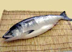 【送料無料】北洋産　天然時鮭　1尾北海道産イクラ醤油漬　100g脂ノリ最高！北太平洋の時鮭イクラとのセットです。