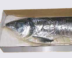 【送料無料】天日塩熟成新巻鮭（姿切身）1尾（3kg）イクラ醤油漬250g