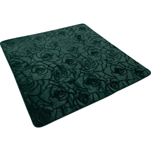 https://thumbnail.image.rakuten.co.jp/@0_mall/ippukujaya/cabinet/dsproducts/407/0002094406-1.jpg?_ex=500x500