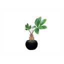 観葉植物/フェイクグリーン 【パキラインポット】 日本製 光触媒 消臭 抗菌 ホルムアルデヒド対策 『光の楽園』