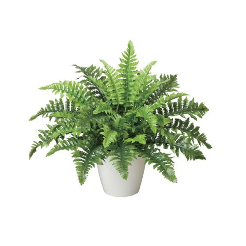 https://thumbnail.image.rakuten.co.jp/@0_mall/ippukujaya/cabinet/dsproducts/493/0001810392-1.jpg?_ex=500x500