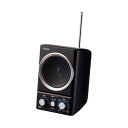 （まとめ）朝日電器 AM／FMスピーカーラジオ ER-SP39F（×10セット） 送料無料！