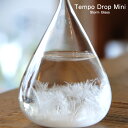 Perrocaliente TEMPO DROP