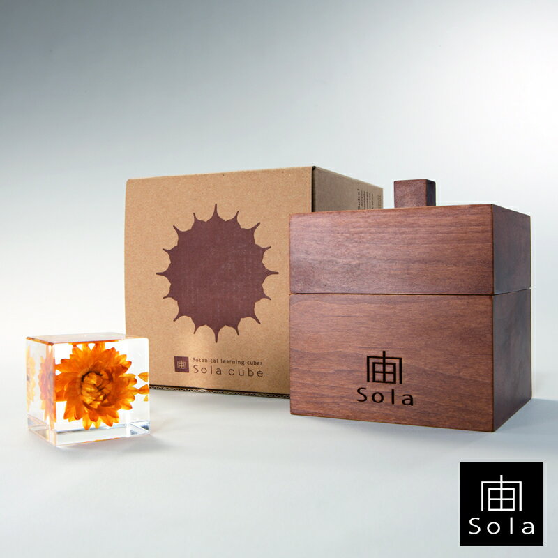 【送料無料】宙-sola- ソラ sola cube 立方体木箱セット（8個入り）アクリルキューブウサギノネドコ