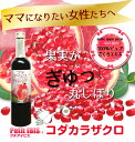 プチアイビスコダカラザクロ ザクロ ジュース エキ