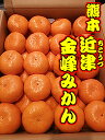 店長おすすめ!熊本県産 特選 金峰みかん 内容量 2Lサイズ 約5kg