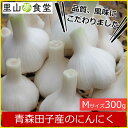 青森田子産のにんにく Mサイズ(300グラム 大体6〜7個 )【同梱包不可】【メーカー直送】 02P06Aug16