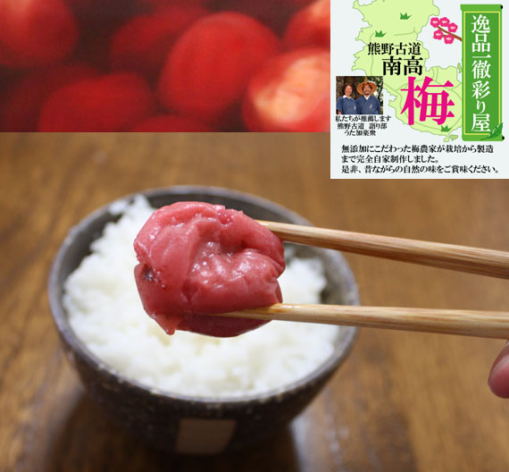 無添加 梅干し 熊野古道　しそ漬　南高梅　500gご自宅用にもお中元（御中元）・お歳暮などのギフト・贈り物にもおすすめです。塩分補給で熱中症対策！
