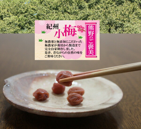 【送料無料】食べやすいサイズの小梅。山みつ漬+白干しセット無添加　熊野のご褒美　紀州 小梅 山みつ漬　500g　+白干し　500g無化学肥料　無農薬 梅干し はちみつ漬ご自宅用にもお歳暮などのギフト・贈り物にもおすすめです。彩り屋_