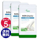 【24H限定で2,000円に!...