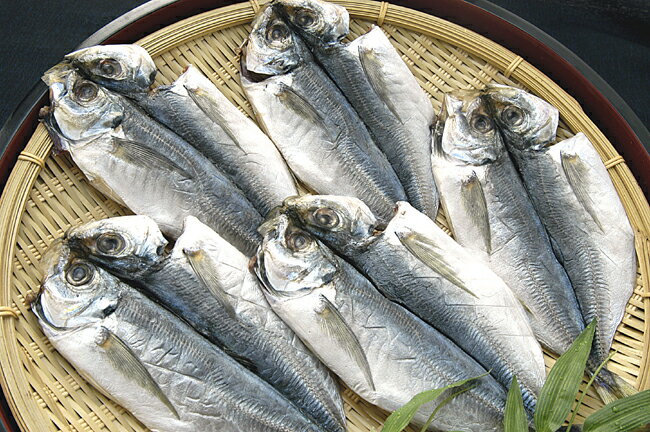 レンジで簡単【鯵の旨み干し】電子レンジで素早く・簡単に焼き上がる特許登録済みの本格焼魚！