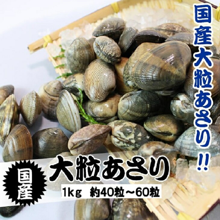 活あさり貝 国産　特大　1kg　約40粒〜60粒 [あさり貝]...:isemaruka:10000041