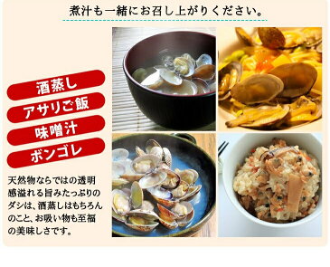 活あさり貝 国産　特大　1kg　約40粒〜60粒 [あさり貝]