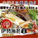 送料無料 伊勢海老 活〆冷凍 標準サイズ 500g 2尾入 ...