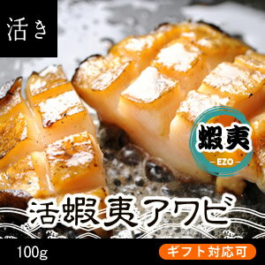 活蝦夷アワビ　　100g　1個[あわび]...:isemaruka:10000030