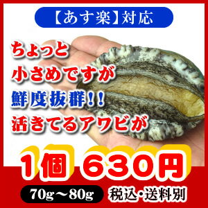 活き活き蝦夷アワビ　70g〜80g　1個[あわび]...:isemaruka:10000029