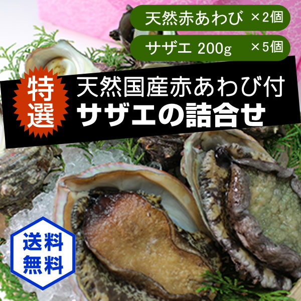 天然赤あわびとサザエの詰め合わせ（赤あわび×2サザエ200g×5）[あわび、サザエ]...:isemaruka:10000164