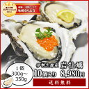 【送料無料】【生食用】【夏季限定】伊勢志摩産岩牡蠣10個(1個あたり300g〜350g)身入り厳選 牡蠣ナイフ・軍手付