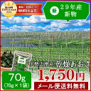 29年産新物 伊勢志摩産あおさのり70g【メール便送料無料】 海藻 アオサ 海苔 三重県産 チャック付袋入