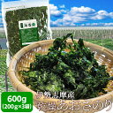 伊勢志摩産あおさのり600g（200g×3袋） 送料無料 海藻 アオサ 海苔 三重県産 チャック