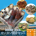 【クーポンで100円OFF】美し国豪華海鮮海宝焼 伊勢海老中1尾 鳥羽産牡蠣8個 さざえ2個 大あさり2個 送料無料 (牡蠣ナイフ、片手用軍手付)冷凍海鮮セット カンカン焼き ミニ缶入 海鮮バーベキューセット