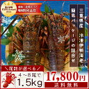 三重県産 伊勢海老詰合せ 4尾〜8尾で約1.5kg 送料無料 刺身用瞬間冷凍 伊勢エビ 尾数選べます あす楽対応 p2