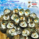三重県伊勢志摩産海女漁の天然活さざえ4kg 送料無料 サザエのサイズと個数が選べます お中元 ギフト