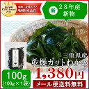 【クーポン利用で50円OFF】カットわかめ100g 28年産 メール便送料無料 三重県伊勢志摩産 乾燥ワカメ 国産 チャック付袋入り 無添加