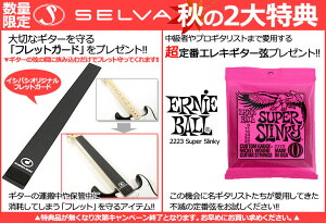 フレットガードプレゼントキャンペーン