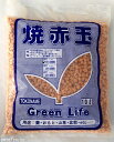 焼赤玉土 大粒 10L(7.4kg) 【春蘭 寒蘭 東洋蘭の土 盆栽用土 ミニ盆栽 豆盆栽 小品盆栽 多肉植物 山野草 花木 樹木】