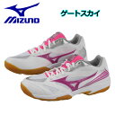 【31%OFF!】【2018 MODEL】 ミズノ 【MIZ...