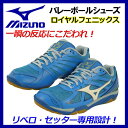ミズノ 【MIZUNO】 バレーボールシューズ ロイヤルフェニックス / ROYAL PHOENIX V1GA153096 ヒノトリブルー 2017年モデル 男女兼用 リベロ・セッター設計 (バレーボール用品/バレー用品/バレーシューズ/部活) 【オススメ】 【大人気】