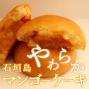 石垣島やわらか マンゴーケーキ石垣島 沖縄 お土産 特産品 通販 沖縄土産 マンゴー