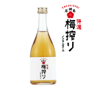 うめ味水610g 【梅シロップ】