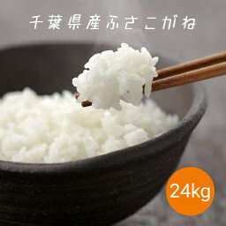 米 お米 白米 24kg (8kg×3袋) ふさこがね <strong>令和</strong>5年産 本州四国 送料無料 小分け可 25kg ⇒24kgへ変更