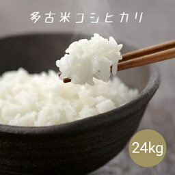 米 お米 白米 24kg (8kg×3袋) 多古米 コシヒカリ <strong>令和</strong>5年産 本州四国 送料無料 小分け可 25kg ⇒24kgへ変更