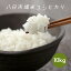 米 お米 白米 10kg 5kg×2袋 八日市場米 コシヒカリ 令和3年産 本州四国 送料無料 こしひかり 越光