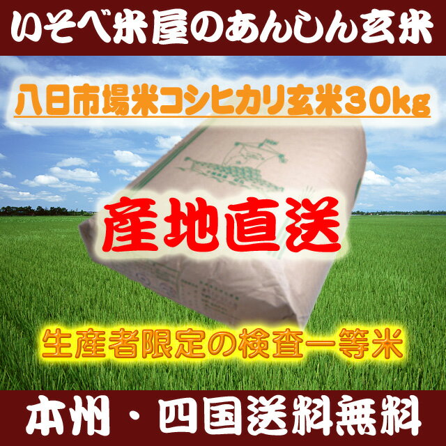 ★【本州・四国送料無料】八日市場米コシヒカリ玄米30kg：生産者限定の検査一等米★【再調製済】【精米無料】【小分け可】【マラソン201207_食品】※北海道・沖縄・九州地区は別途送料400円【smtb-T】