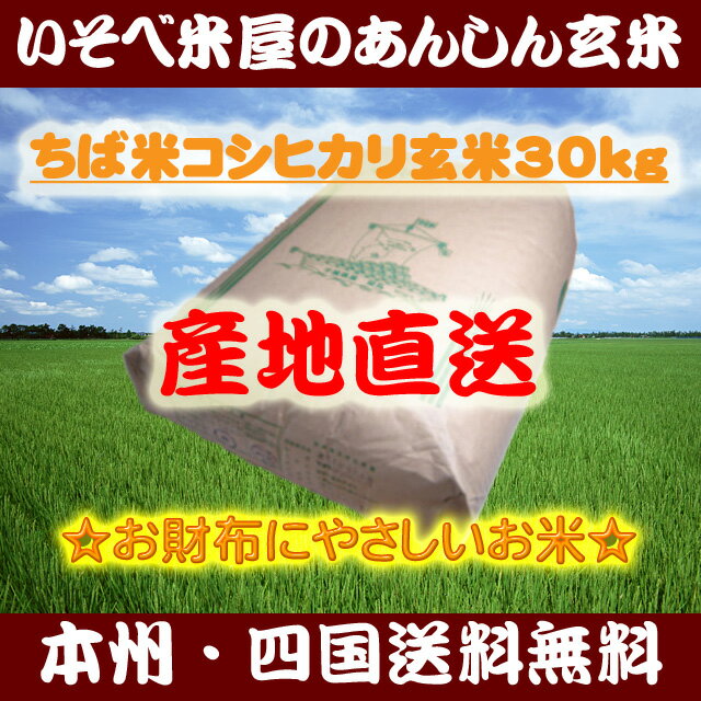 ★【本州・四国送料無料】ちば米コシヒカリ玄米30kg：家計にやさしいお米★【再調製済】【精米無料】【小分け不可】【マラソン201207_食品】※北海道・沖縄・九州地区は別途送料400円【smtb-T】