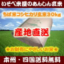 ★【本州・四国送料無料】ちば米コシヒカリ玄米30kg：家計にやさしいお米★【再調製済】【精米無料】【小分け不可】※北海道・沖縄・九州地区は別途送料400円