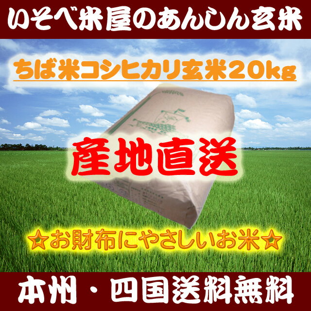 ★【本州・四国送料無料】ちば米コシヒカリ玄米20kg：家計にやさしいお米★【再調製済】【精米無料】【小分け不可】【05P28Mar12】※北海道・沖縄・九州地区は別途送料400円【smtb-T】