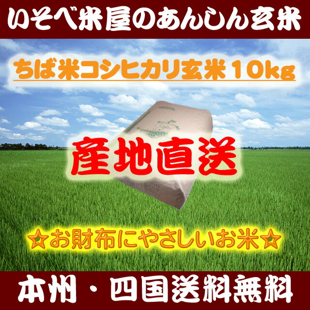 ★【本州・四国送料無料】ちば米コシヒカリ玄米10kg：家計にやさしいお米★【再調製済】【精米無料】【小分け不可】※北海道・沖縄・九州地区は別途送料400円