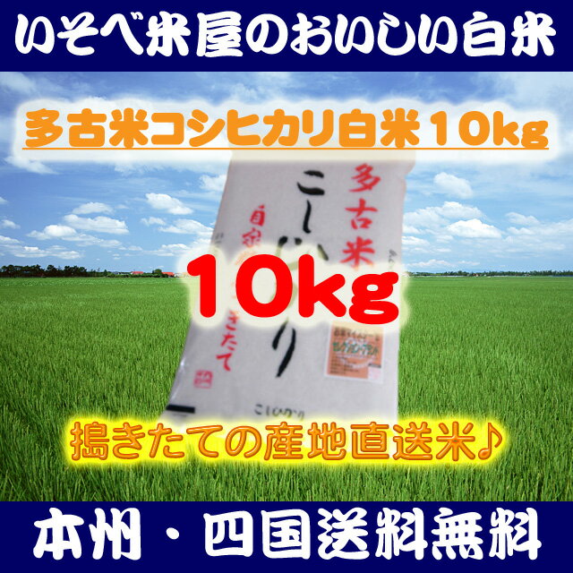 ★【本州・四国送料無料】多古米コシヒカリ白米10kg：搗きたての産地直送米★【匠精米】【05P28Mar12】※北海道・沖縄・九州地区は別途送料400円【smtb-T】