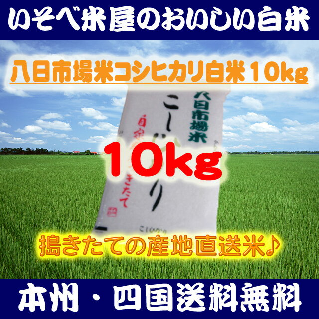 ★【本州・四国送料無料】八日市場米コシヒカリ白米10kg：搗きたての産地直送米★【匠精米】※北海道・沖縄・九州地区は別途送料400円